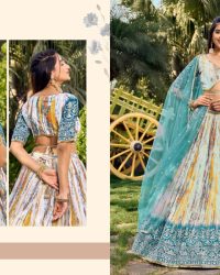 Zeel Clothing-Lehenga Choli