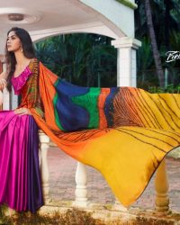 Pankh Sarees Collection